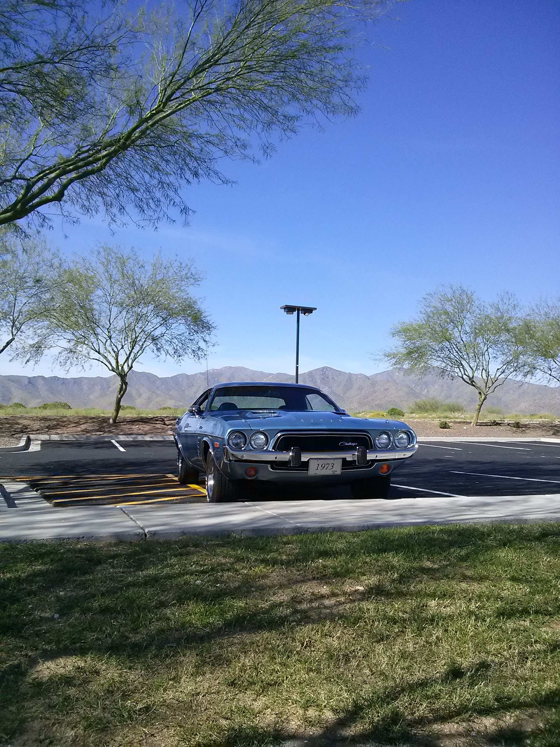 0317171010[682].jpg